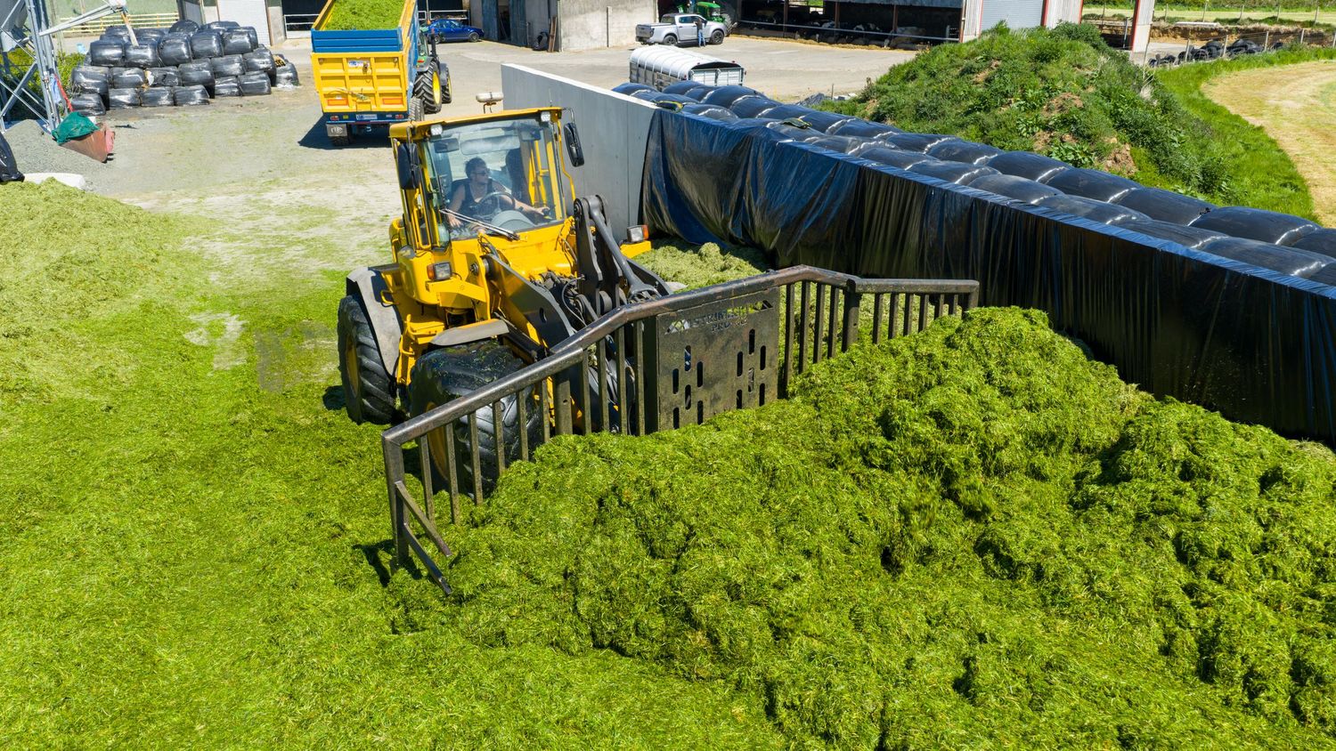 Yellow loader bulldozer pushing green grass clippings into large pile at composting facility.