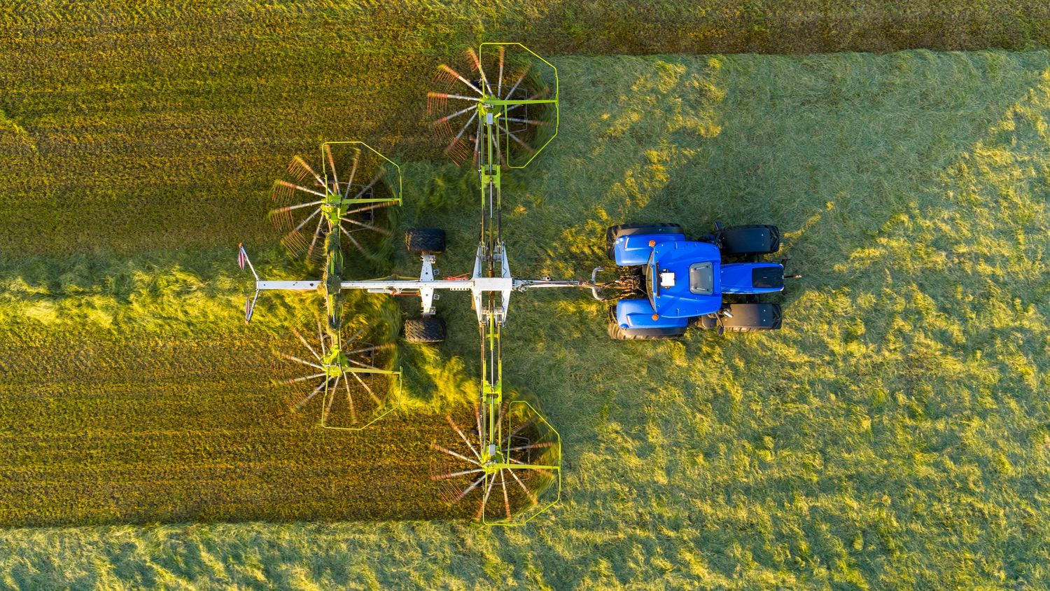 Aerial view of a blue tractor spraying fertilizer on an agricultural field with dramatic lighting and palm trees.
