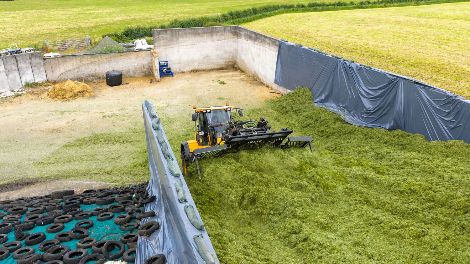 Aerial view of farm equipment and machinery loading green silage into concrete storage bunker.