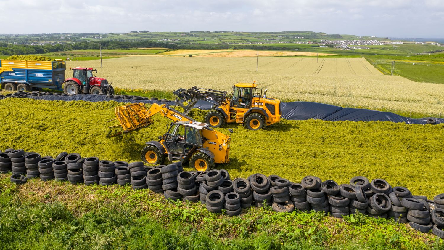 Agricultural machines move across a vast golden field with rows of tires laid out in a border pattern during harvest season.