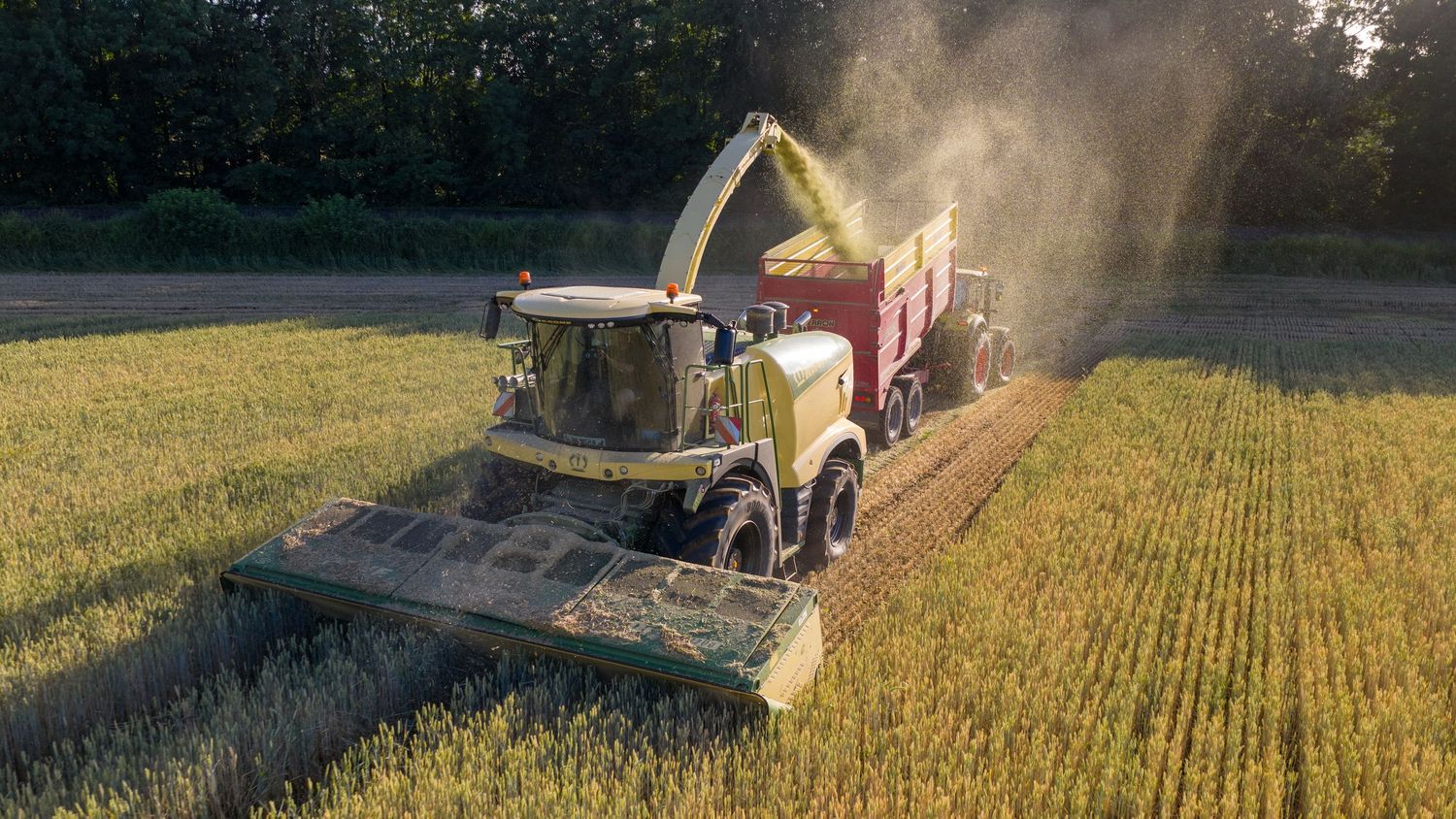 Combine harvester working in golden grain field at sunset with truck driving alongside to collect crops.