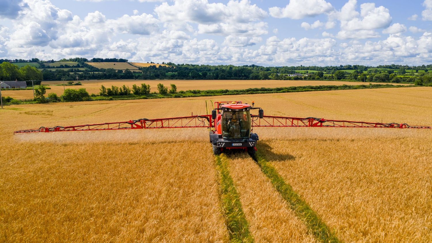 Aerial view of a red tractor spraying pesticides over a golden wheat field on a sunny summer day.