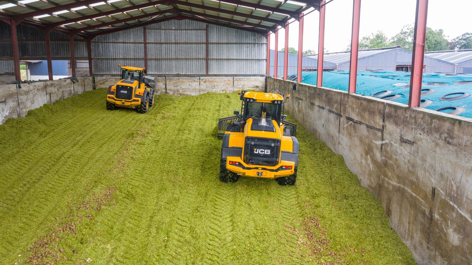Two yellow compact skid steer loaders working on leveling green turf surface inside a covered arena structure.