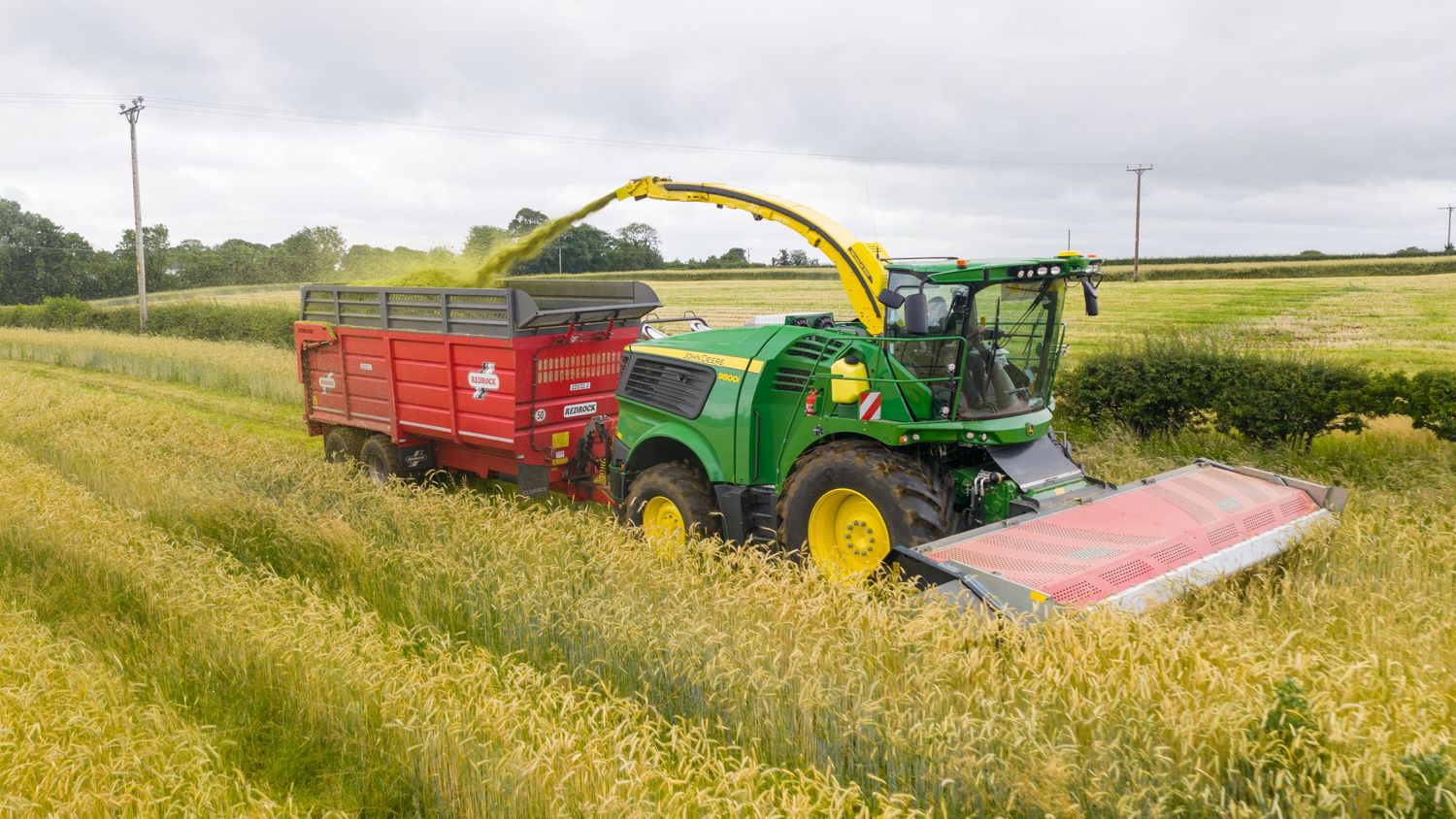 A green John Deere tractor and red trailer harvest grain in a golden wheat field under cloudy skies.