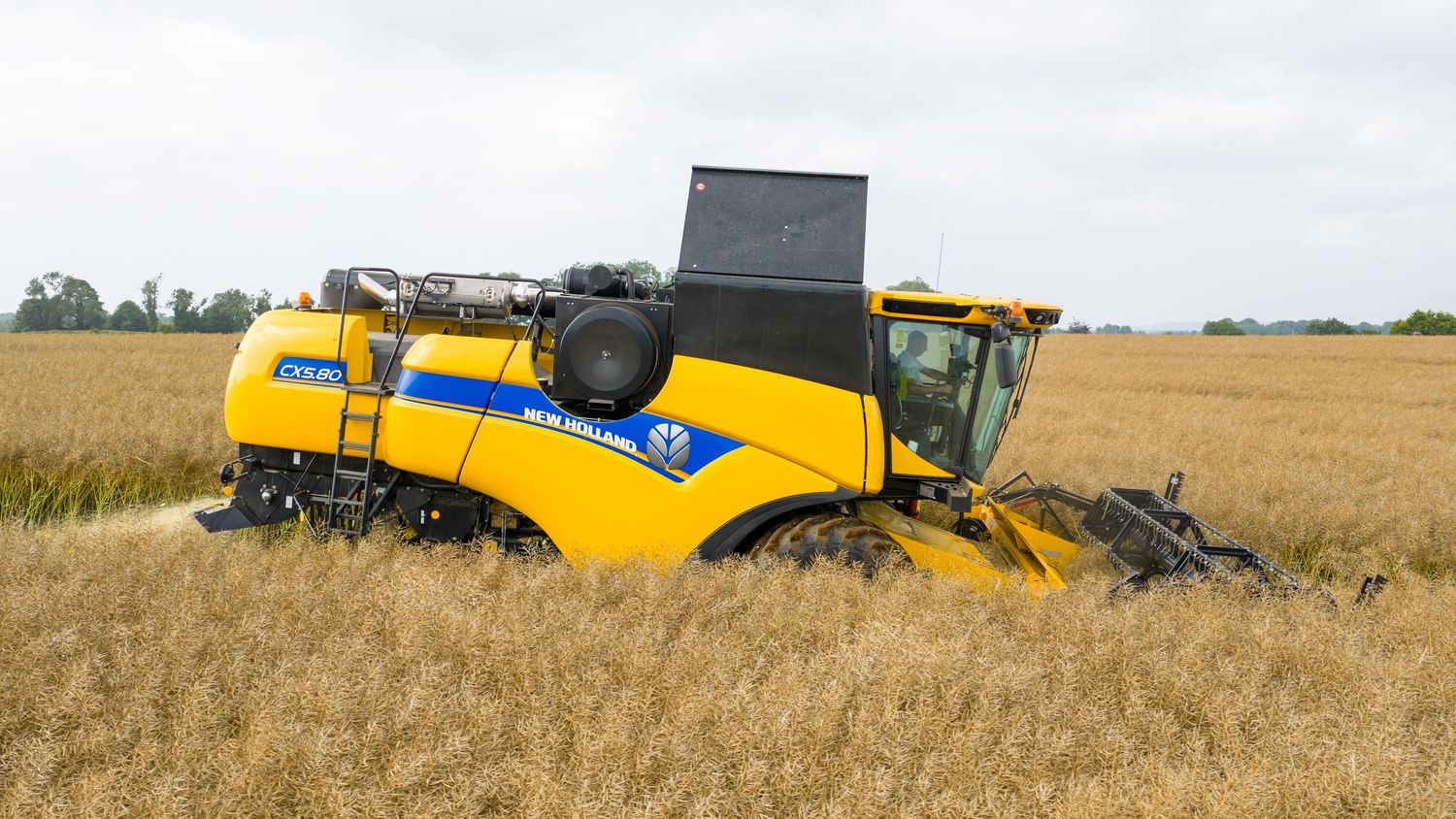Yellow combine harvester working in golden wheat field during harvest season with clear blue sky.