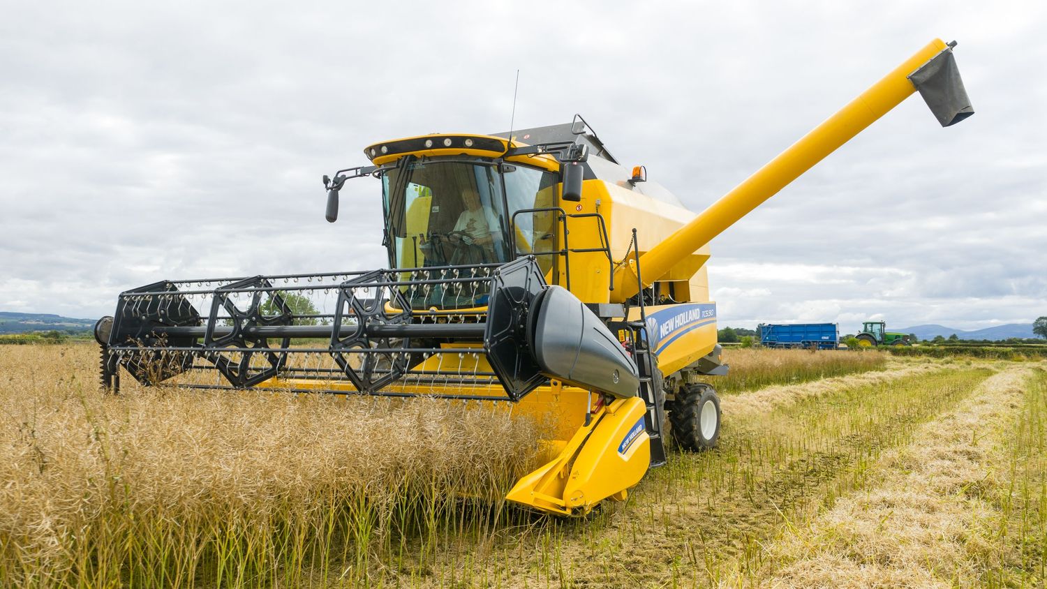 A yellow combine harvester operates in a field, cutting and collecting grain crops under cloudy skies.