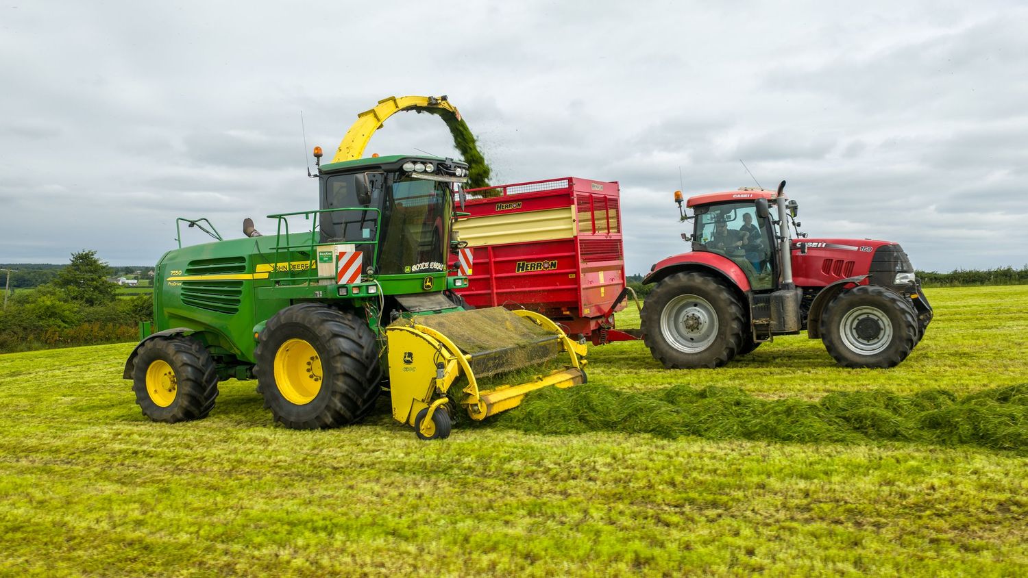 A John Deere forage harvester and red Massey Ferguson tractor work together harvesting grass silage in a green field.