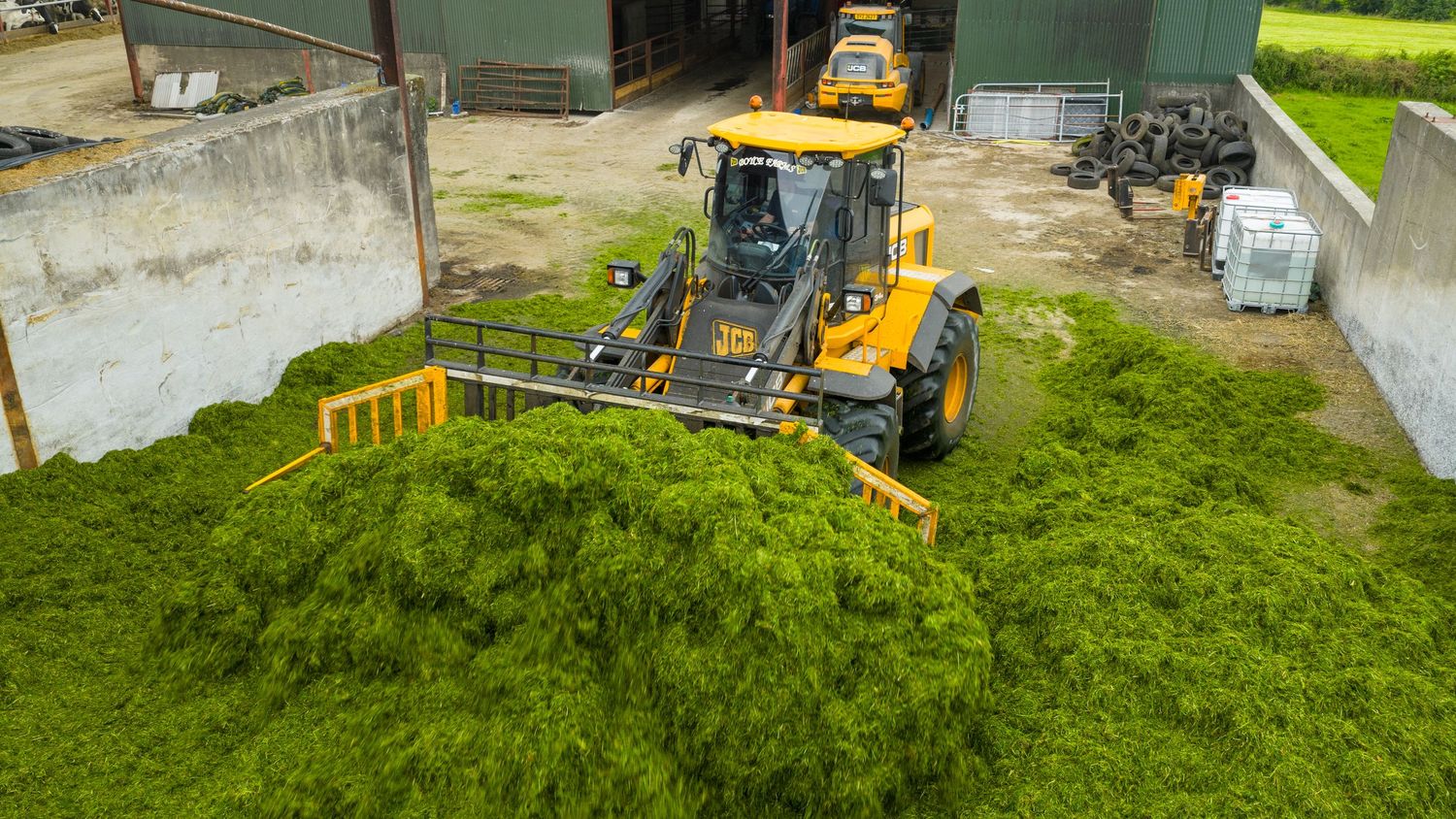 Yellow compact loader pushes and moves freshly cut green grass clippings in an outdoor yard.