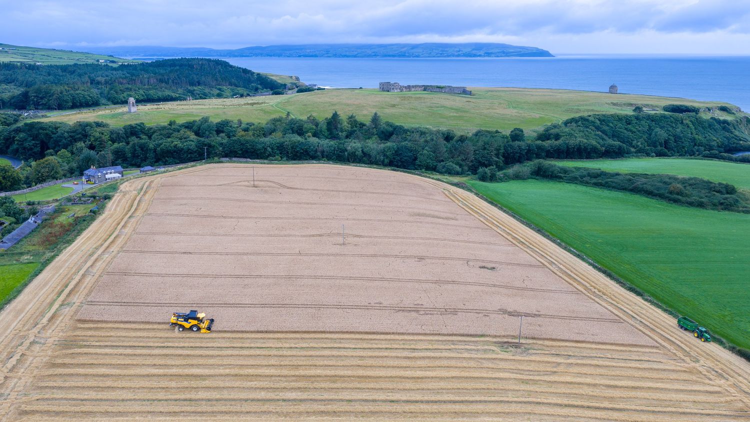 Aerial view of a yellow harvester working in a beige agricultural field near green pastures and coastline on a sunny day.