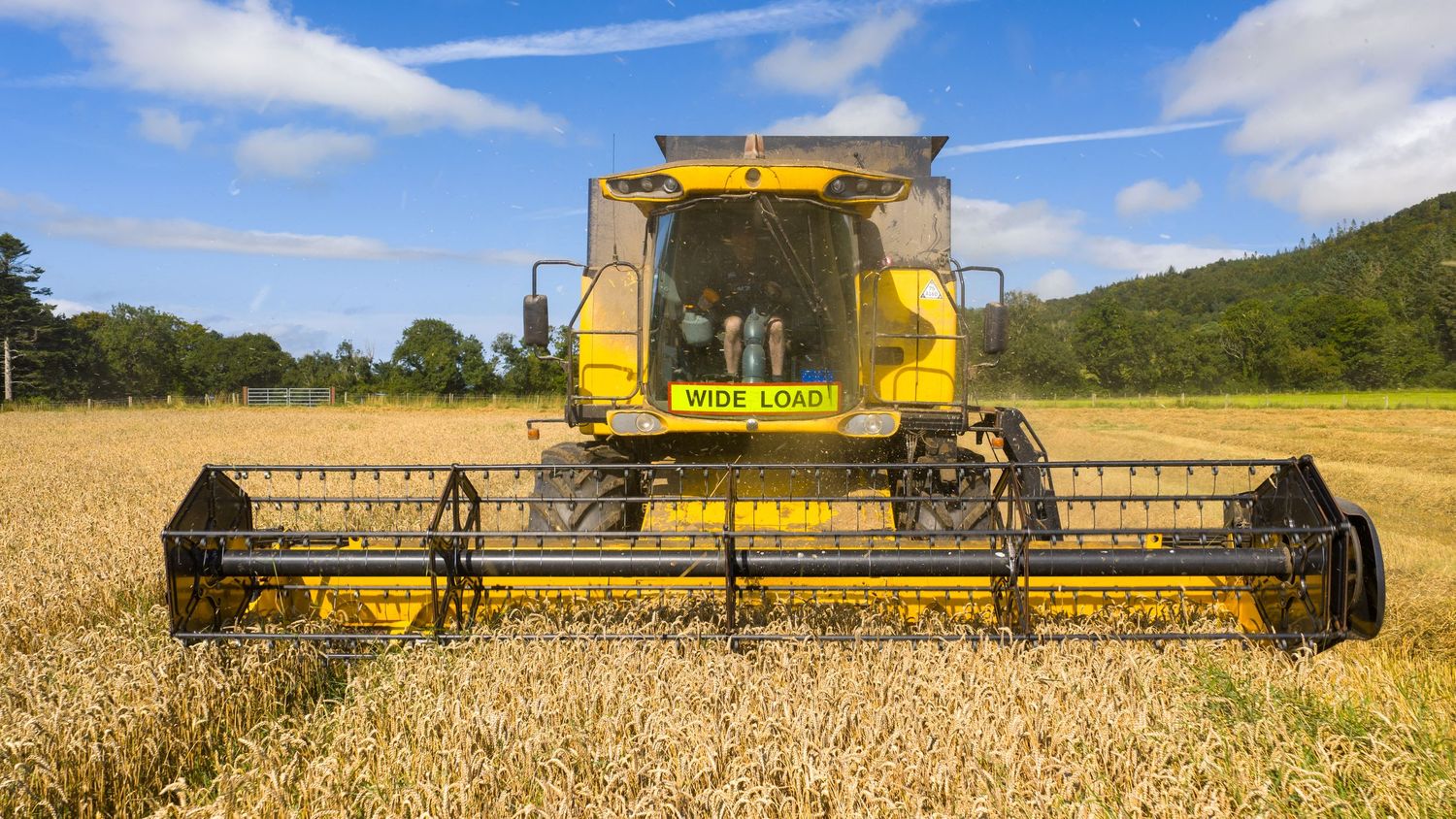 Collage of combine harvesters working in golden wheat fields under blue skies with white clouds.