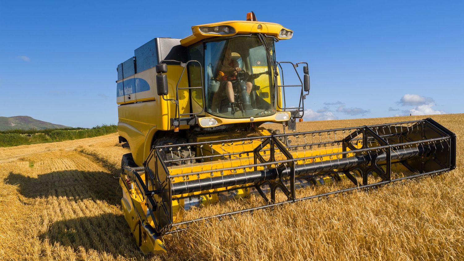 Yellow combine harvesters work across a vast golden wheat field during harvest season.