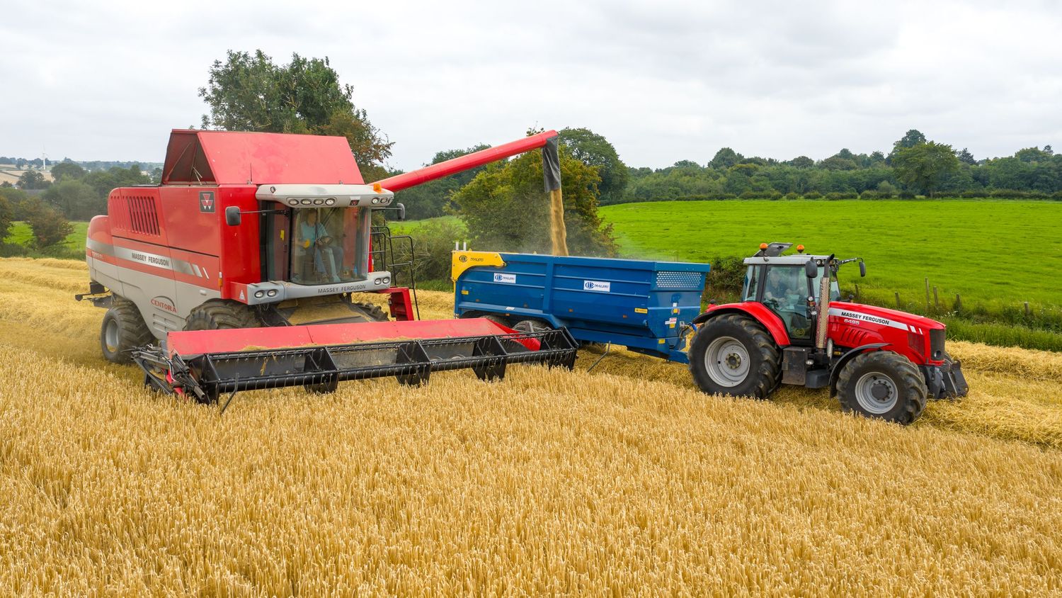 Farm combines with tractors harvest golden wheat in a panoramic field under a cloudy summer sky.