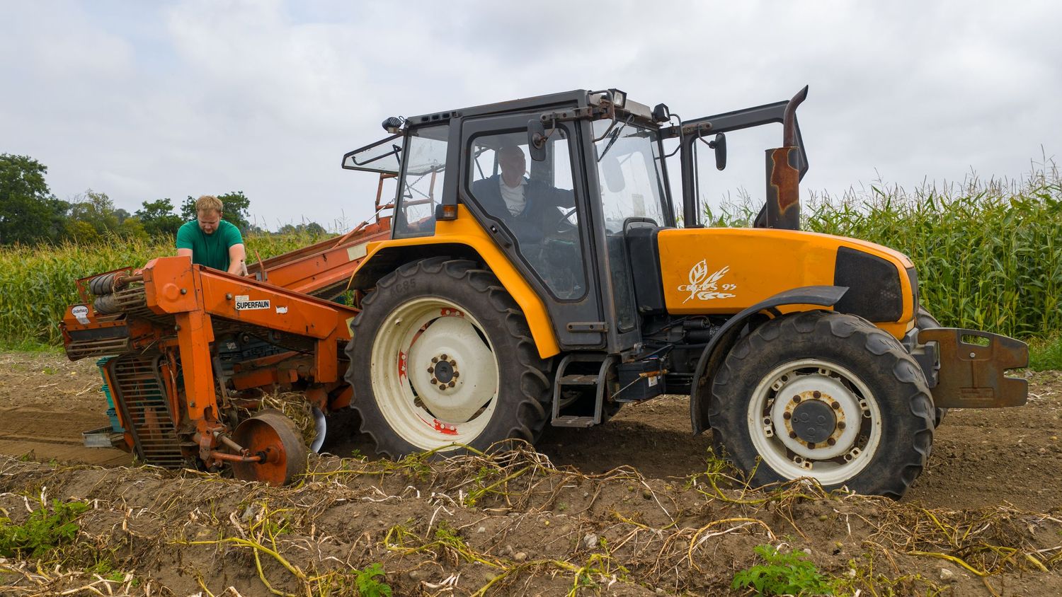 Orange and white tractor working in a muddy field with corn stalks visible in the background.