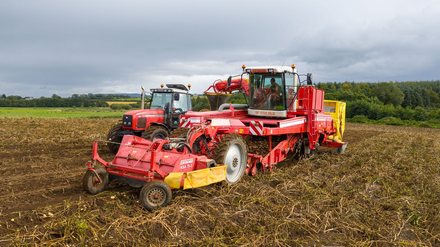Modern farming equipment harvests and processes potatoes in a large agricultural field during harvest season.