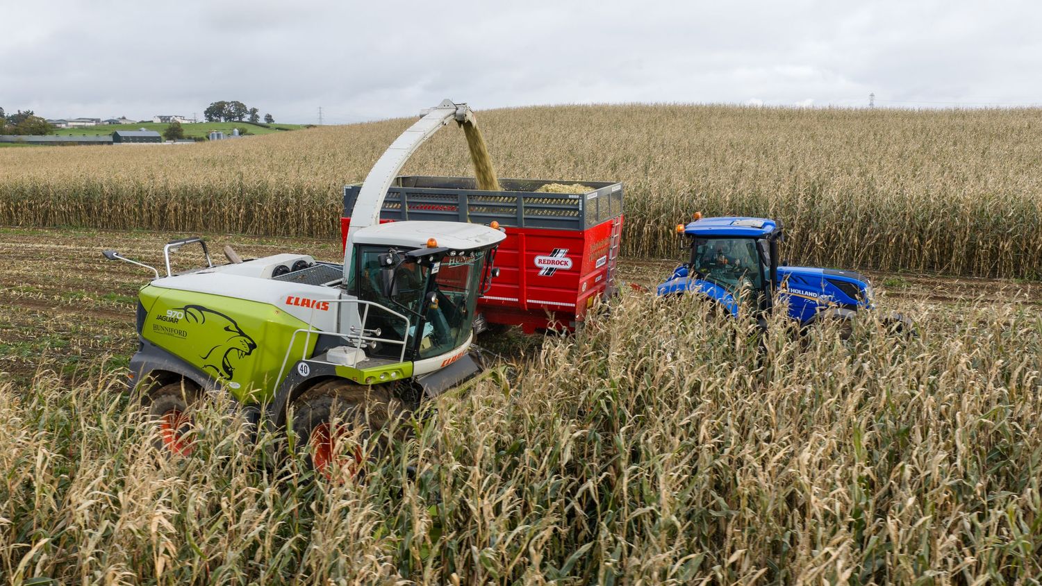 Panoramic view of farm equipment harvesting corn in a golden agricultural field on a sunny autumn day.