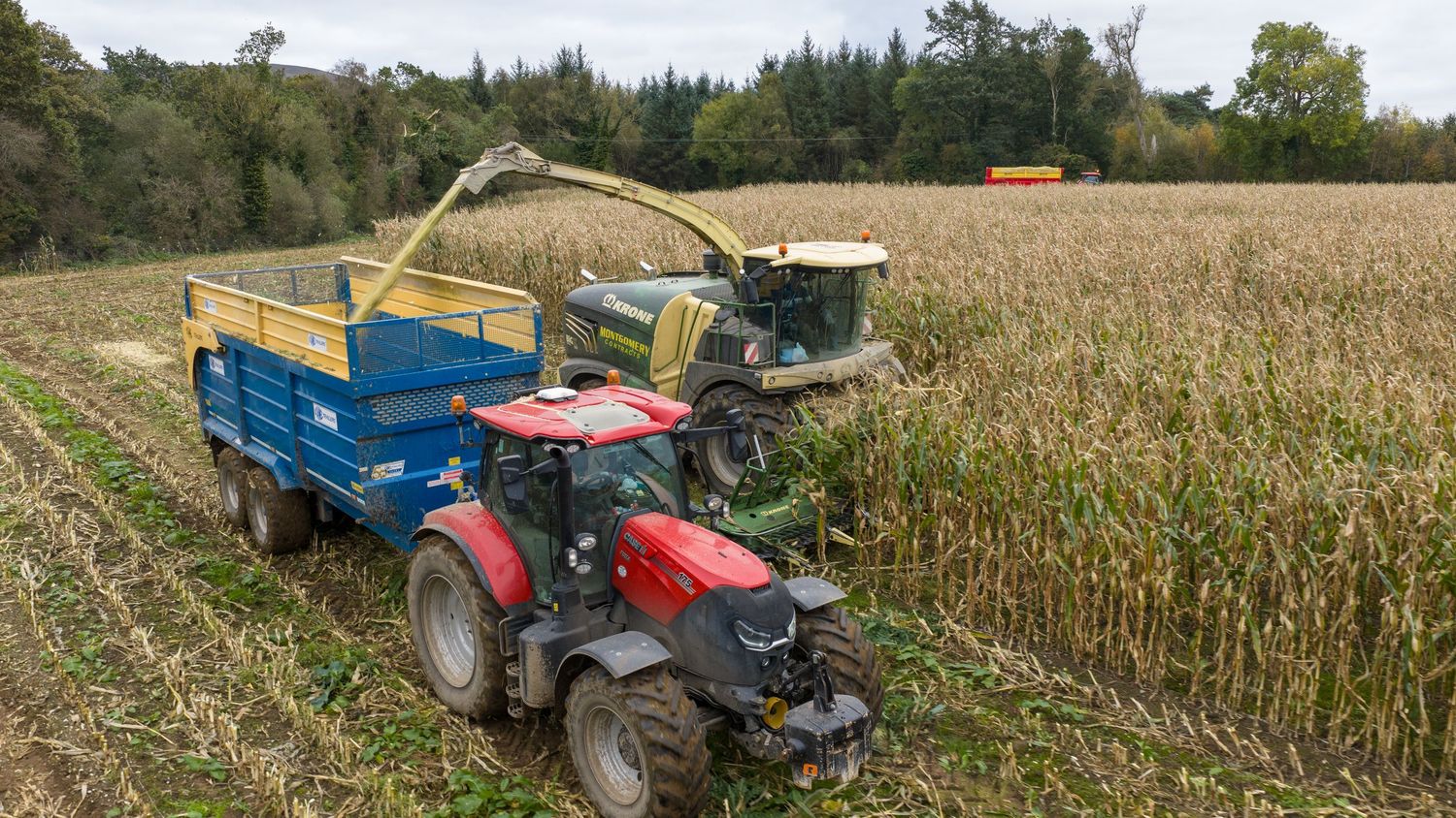 Agricultural machinery and tractors working in corn fields during harvest season with blue and red equipment visible.
