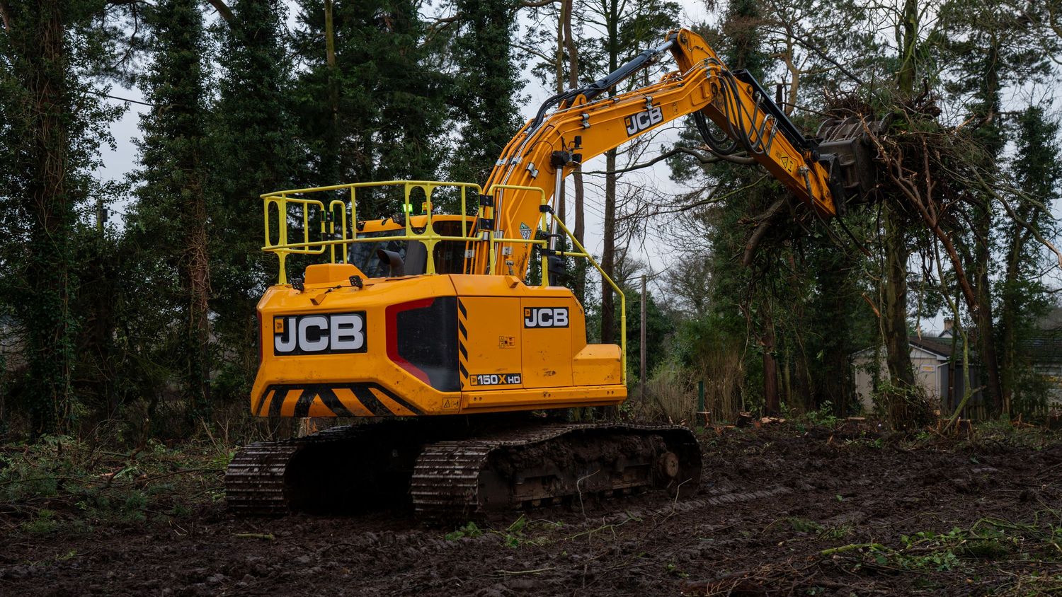 JCB excavator machines working in a forest clearing surrounded by tall evergreen trees.