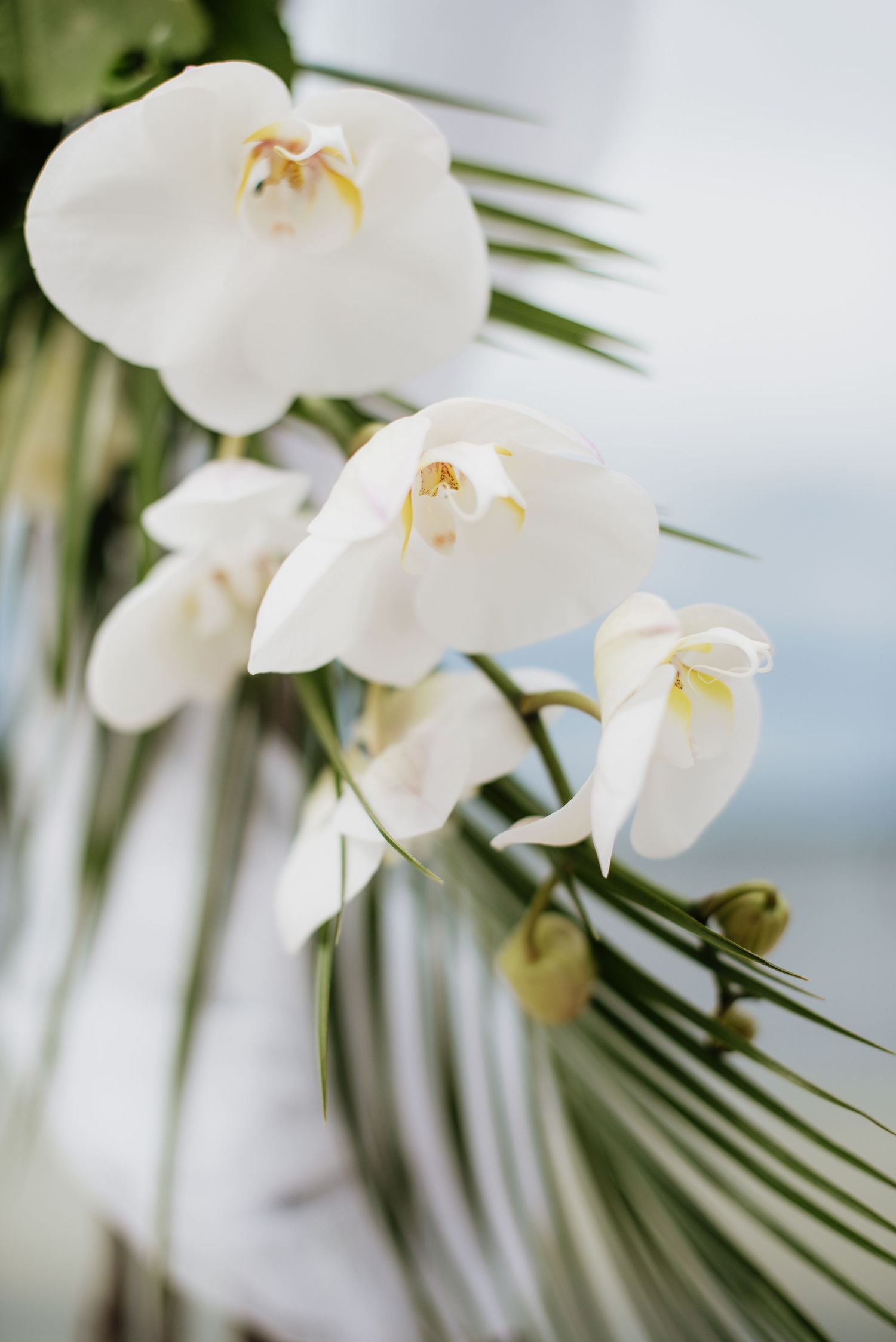 Elegant white orchids blooming against palm fronds create a tropical wedding backdrop at Villa Malla in Norway.