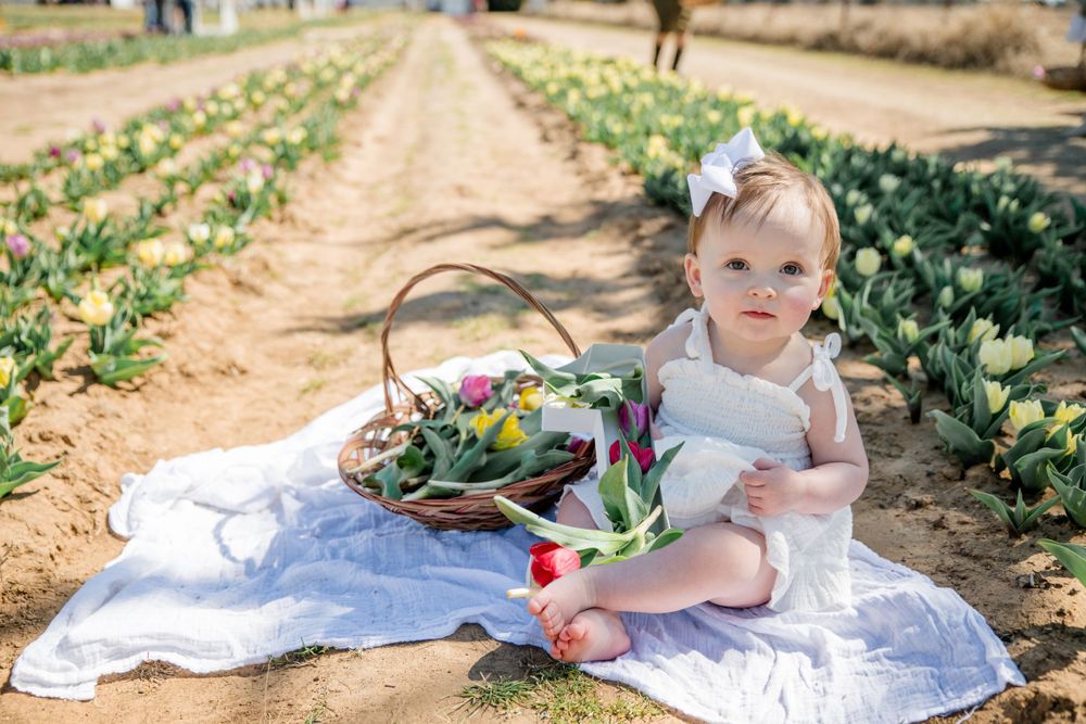 Baby in white dress sits on blanket among rows of growing plants at a farm on sunny day.