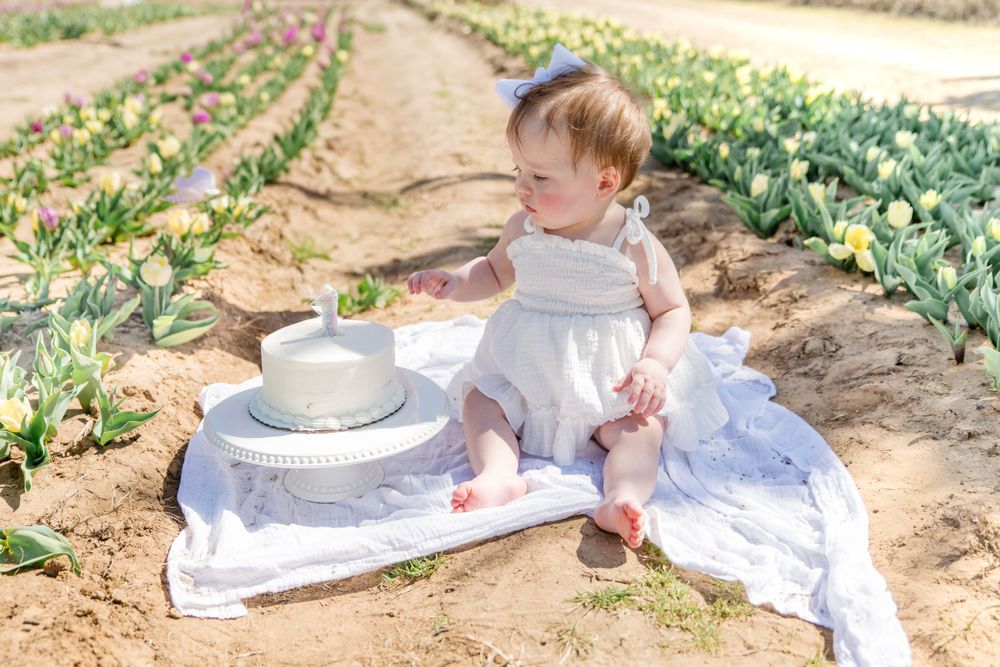 A small child in a white dress sits on a blanket in a sunny tulip field during springtime.