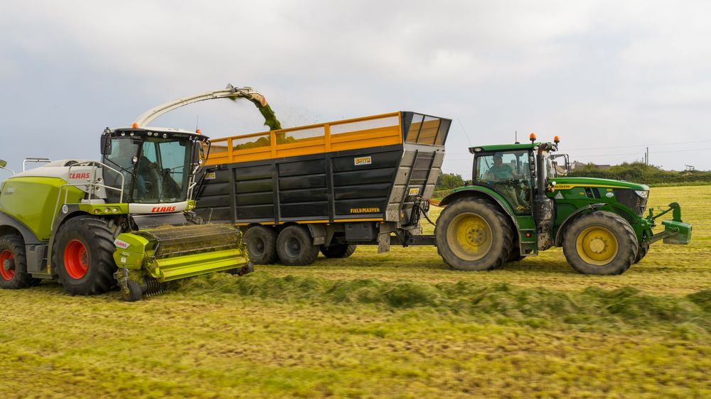 Agricultural tractors and trailers harvest grain in a field during the summer season.