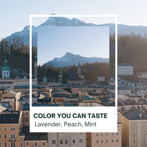 Scenic cityscape view of Salzburg Austria with historic buildings and towering Alps mountains in the background.