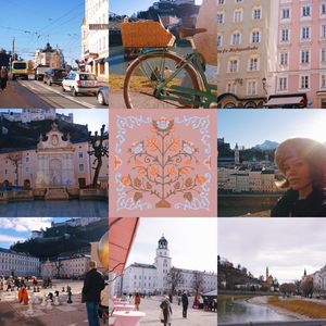 A collage of European cityscapes featuring vintage bikes, historic buildings, waterways, and pink floral artwork.
