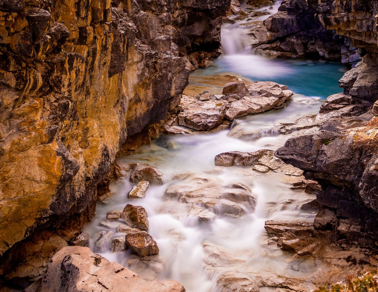Dreamy water flow, a creek at the source of a river in Banff National Park, Alberta, Canada