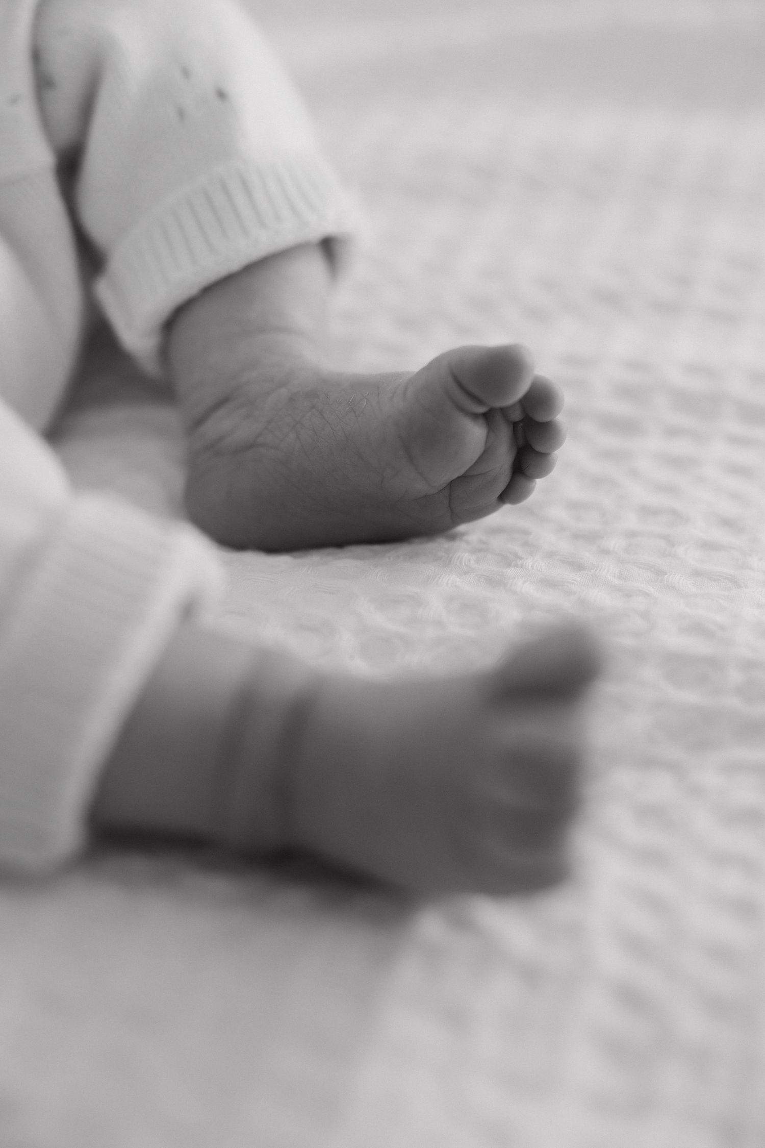 Close-up black and white photo of tiny baby feet resting on textured fabric.