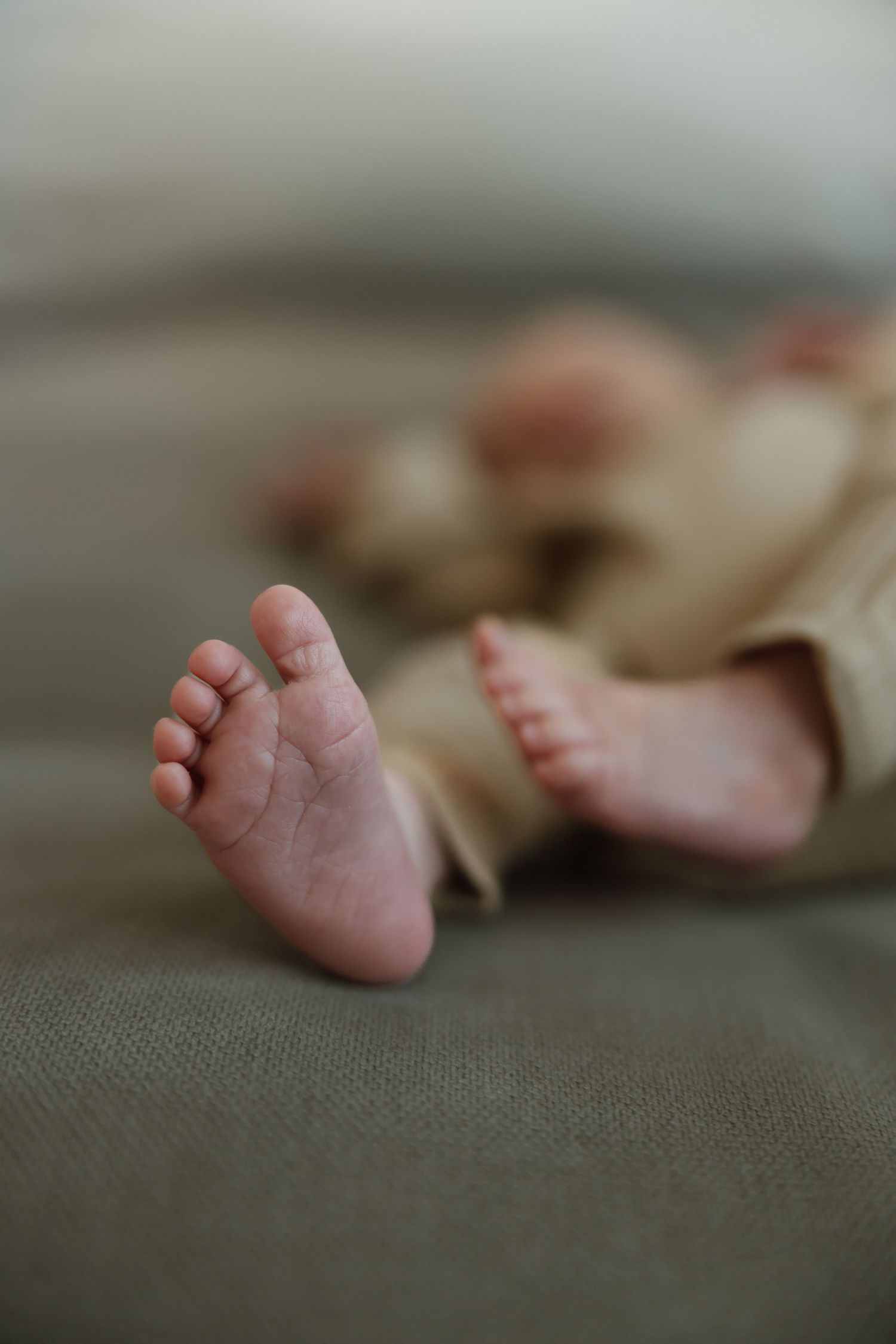 Close-up photo of tiny baby feet against a soft gray textured fabric background.