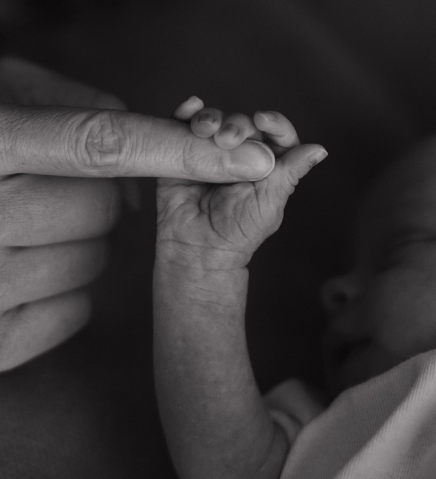 Black and white close-up photo of a baby's tiny hand grasping an adult's finger.