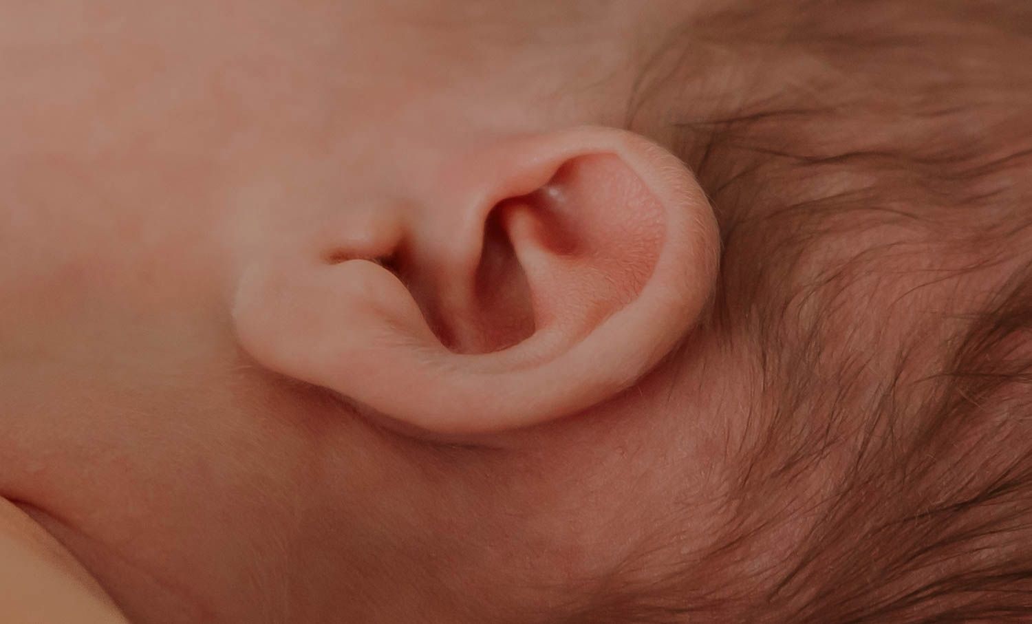 Close-up view of a baby's ear and soft hair against a pink skin background.