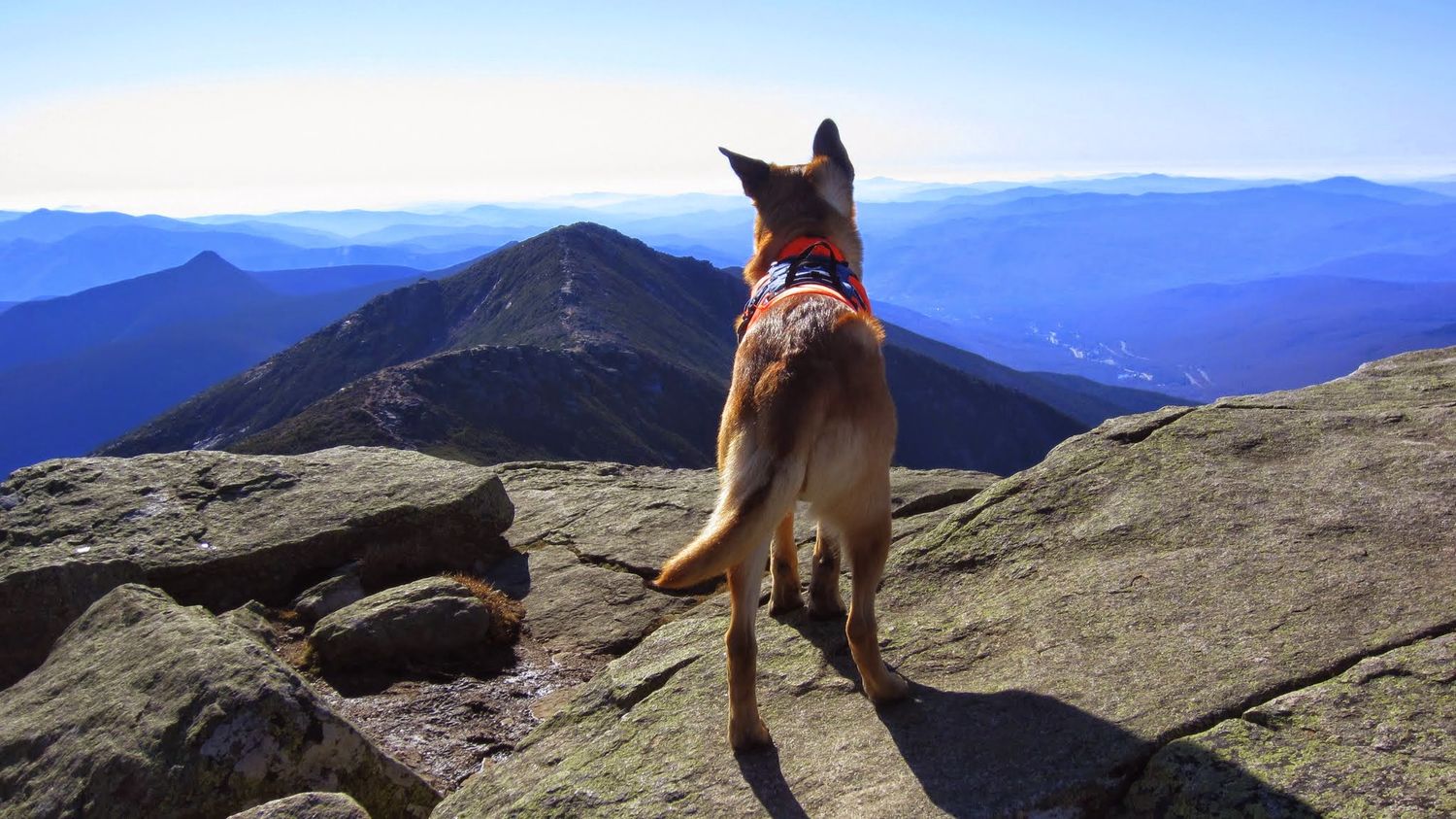 Z on Mt. Lafayette