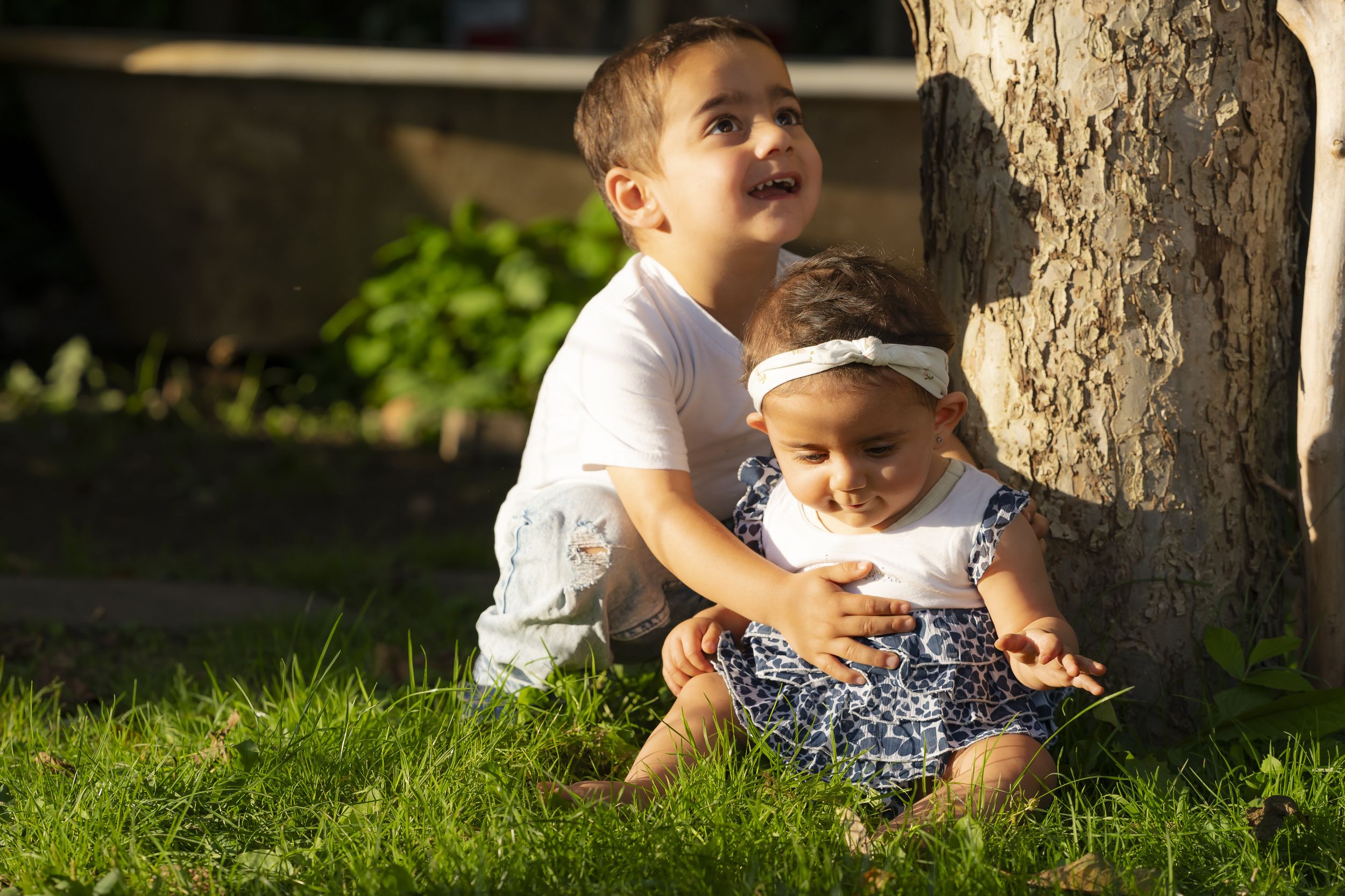 Two young siblings sitting together by tree trunk on green grass in sunlight.