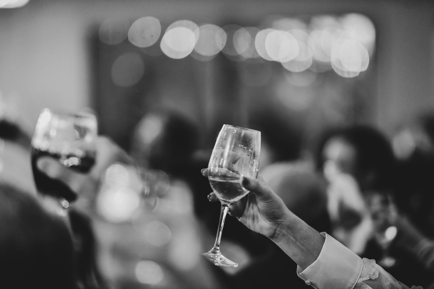 the guests toast a bride and groom at brighton abbey
