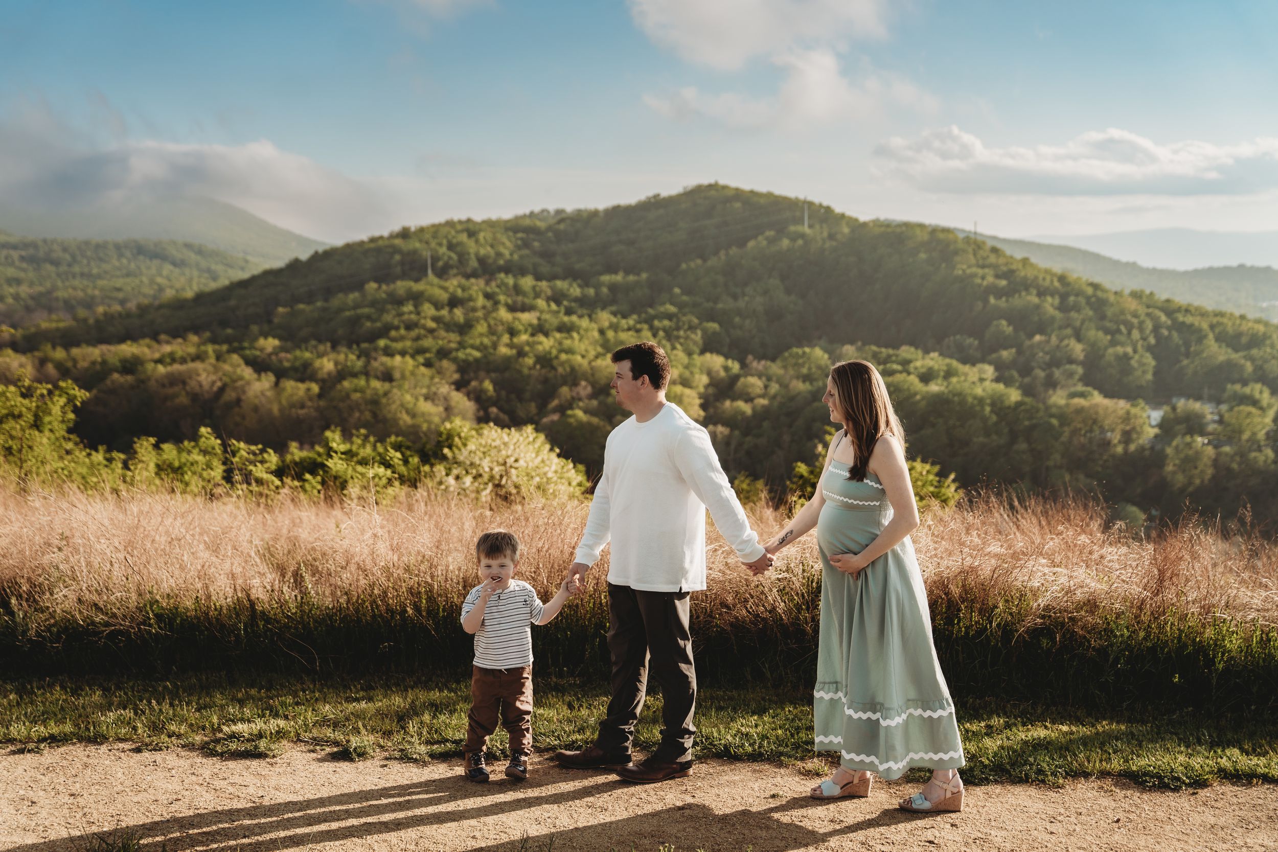 Pregnant woman in green dress holds hands with husband and toddler son against scenic mountain backdrop.