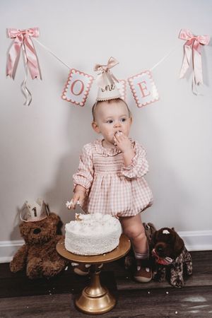 Baby girl in pink dress smashes first birthday cake surrounded by stuffed animals under ONE banner.