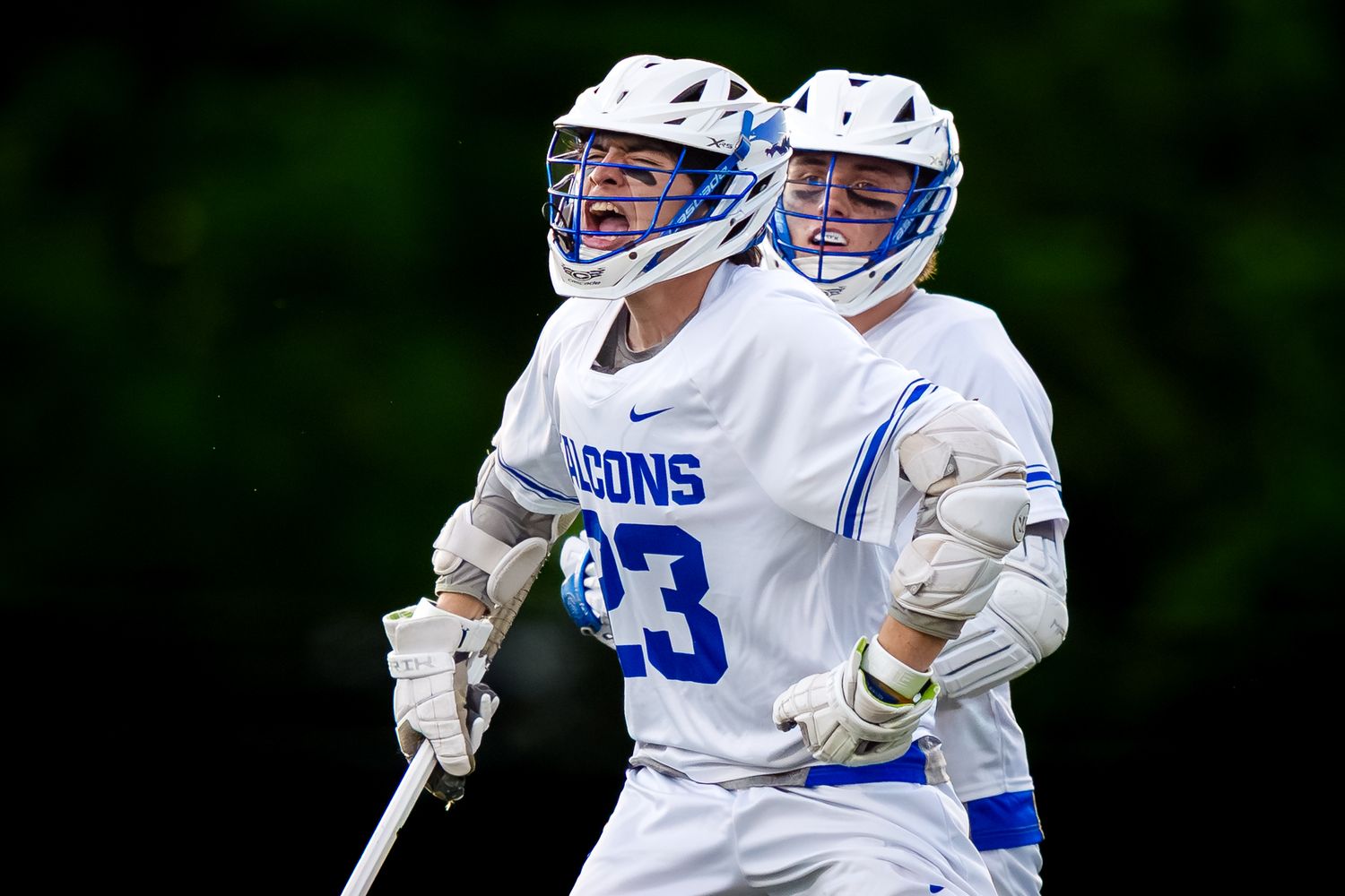 Lower Dauphin Falcons boys lacrosse team members celebrate after a goal - by Deanna Fox, SportsFox Photography based in Hershey PA.