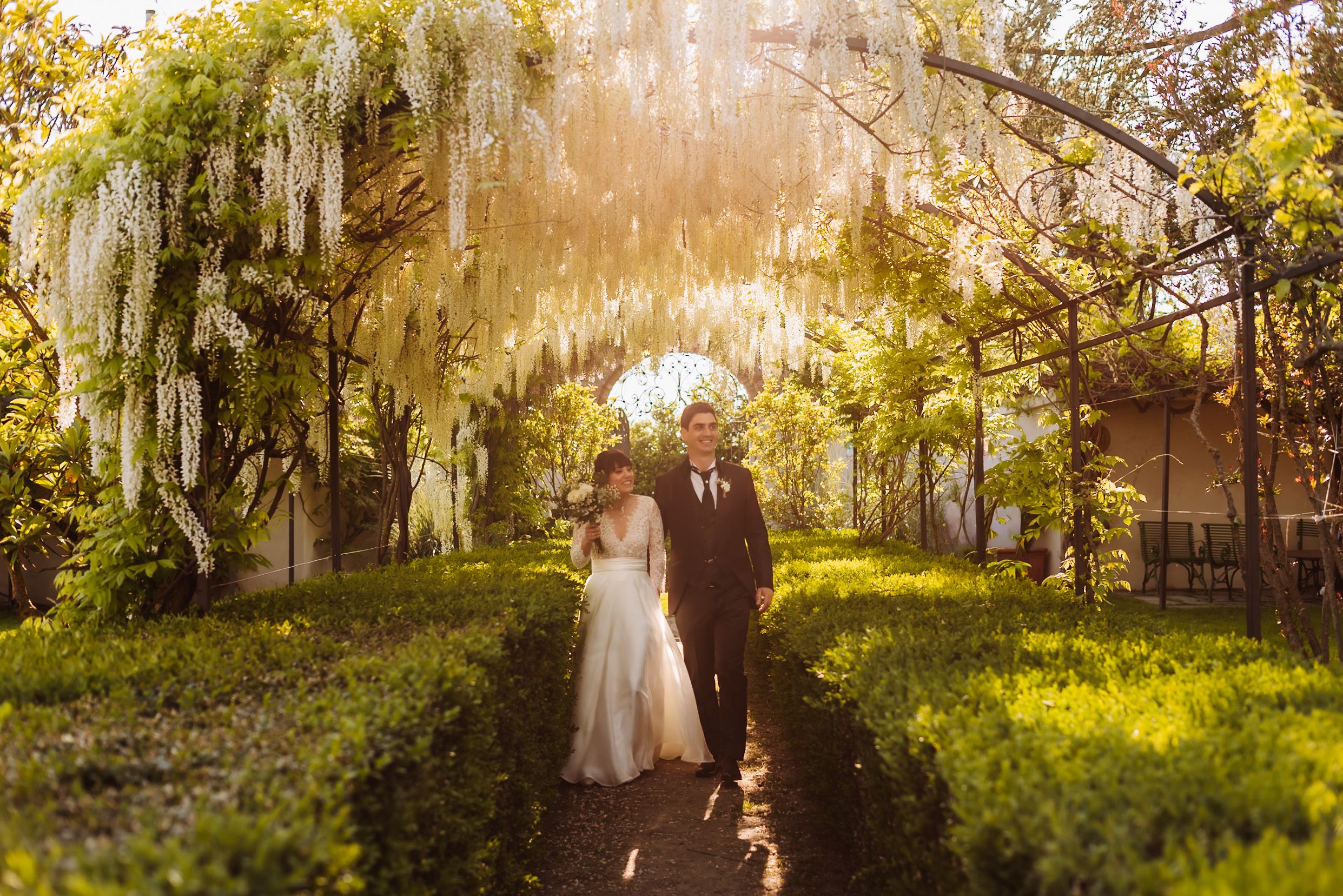 Bride and groom walking under a stunning wisteria-draped garden arch on their wedding day.