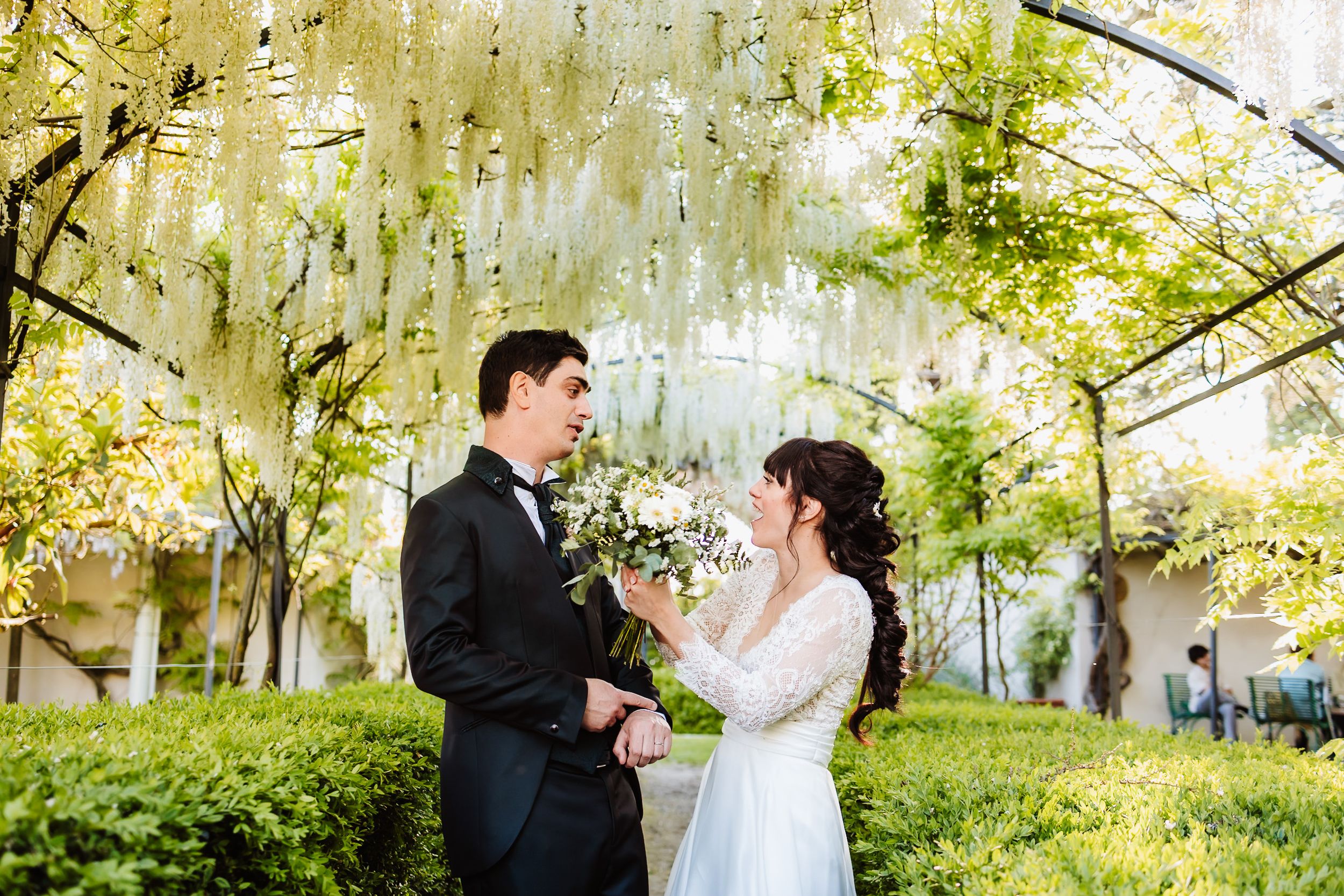 Bride and groom holding hands under cascading white wisteria flowers in a lush garden wedding photo.