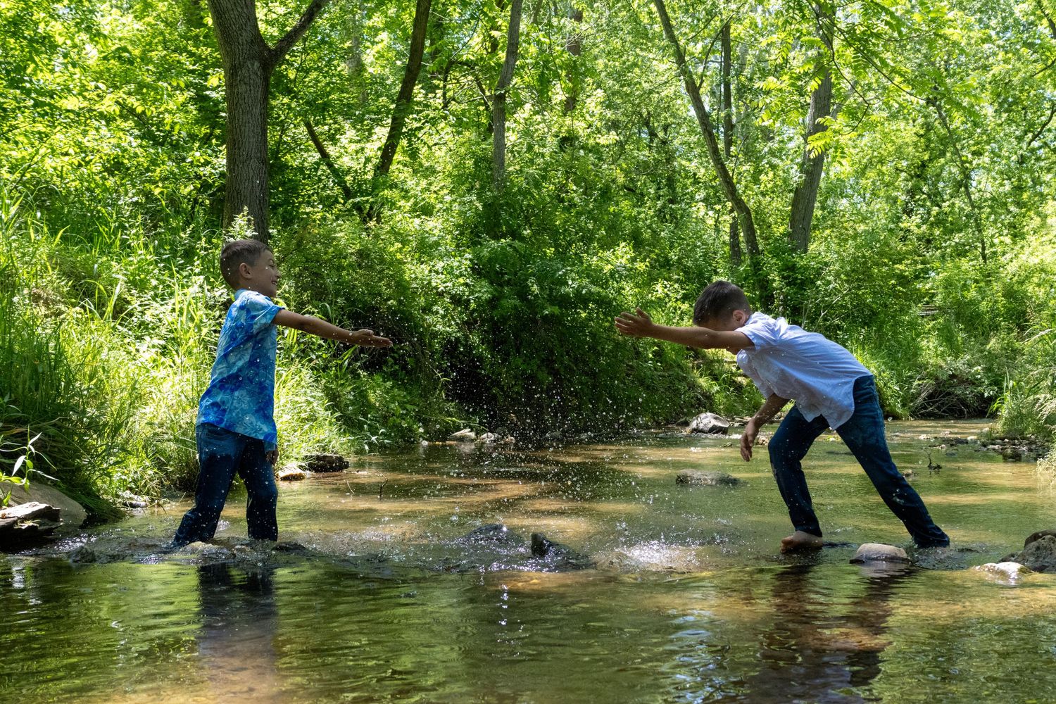 Two boys playing in a shallow creek, reaching hands across the water, surrounded by lush green trees on a sunny day.