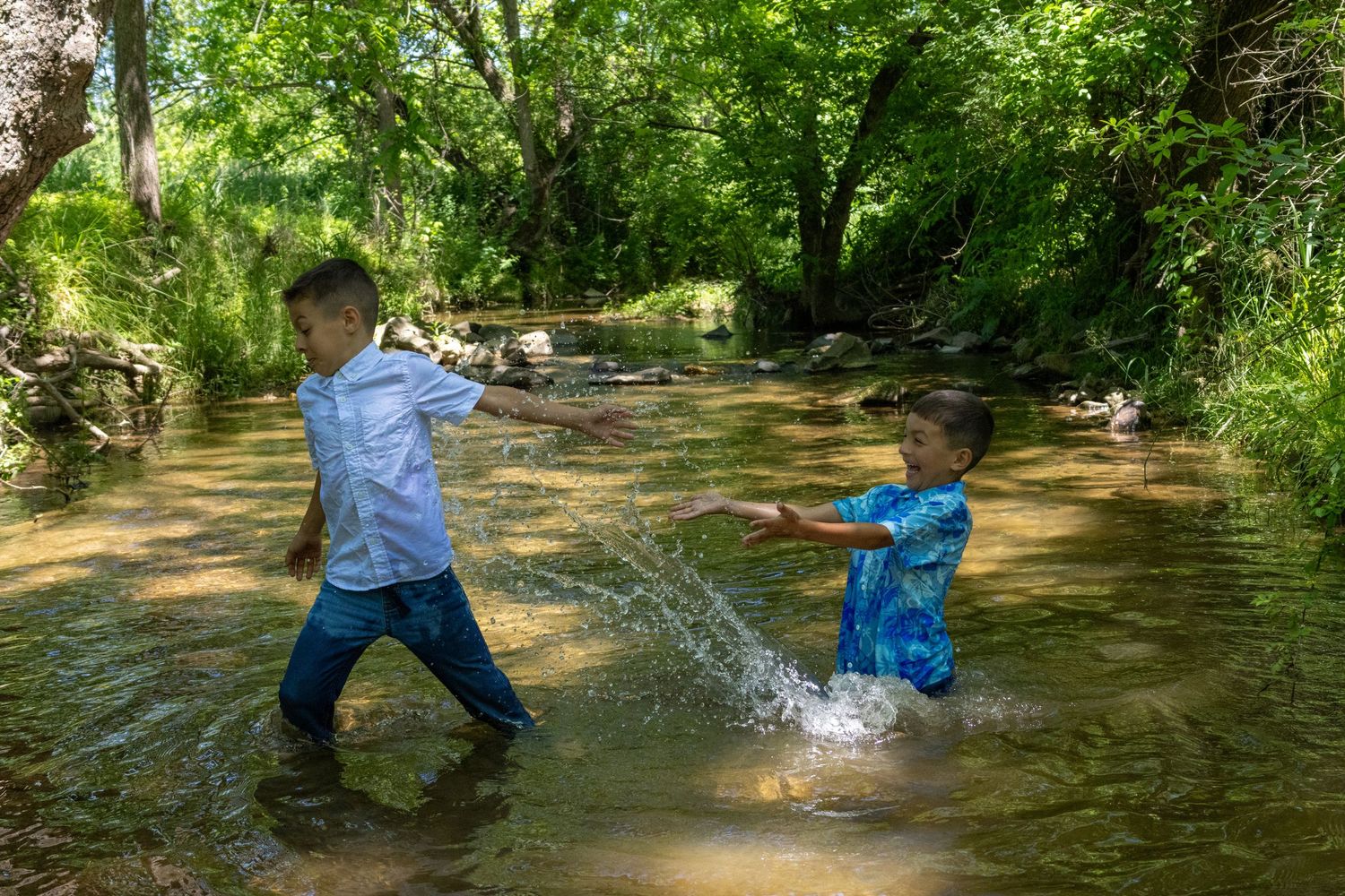 Two children playing and splashing in a shallow creek surrounded by lush green trees on a sunny day.