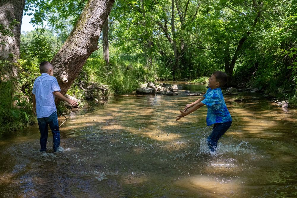 Two children splashing and playing in a shallow tree-lined creek on a sunny summer day.