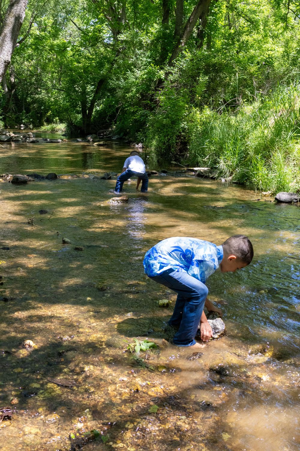 Two children wade in a shallow rocky creek surrounded by lush green trees, bending down to explore the water.