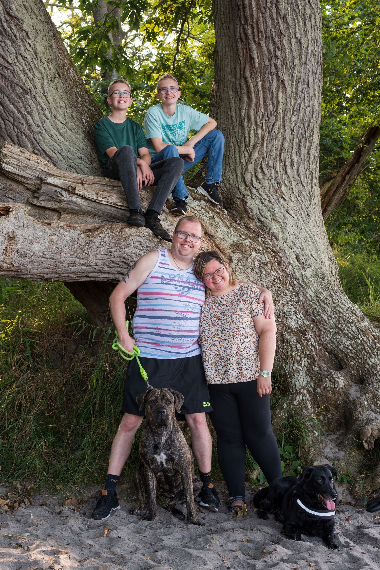 Family of four with two dogs posing by a large tree outdoors, two kids sitting on a branch above smiling parents.
