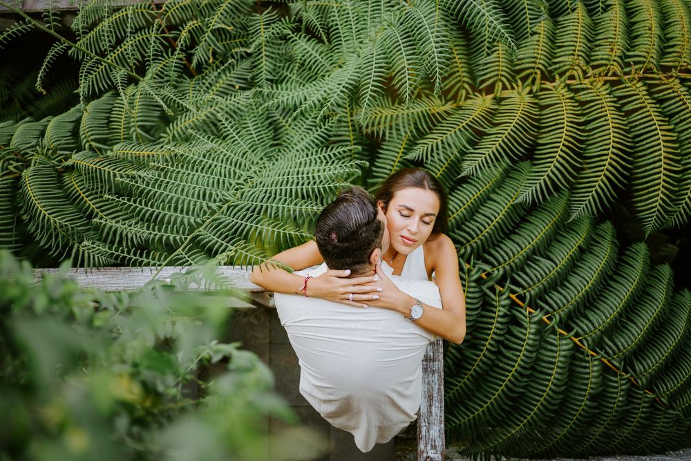 Artistic photo composition with lush green ferns framing a tropical scene.
