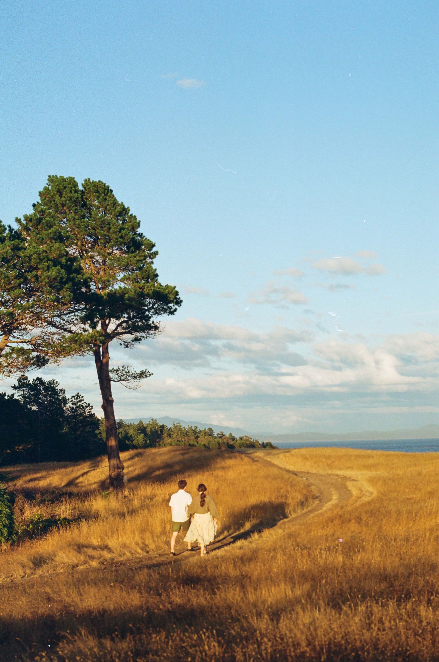 Hornby Island Film Photographer. Helliwell Provincial Park. Vancouver Island Wedding. Vintage. Nature Inspired