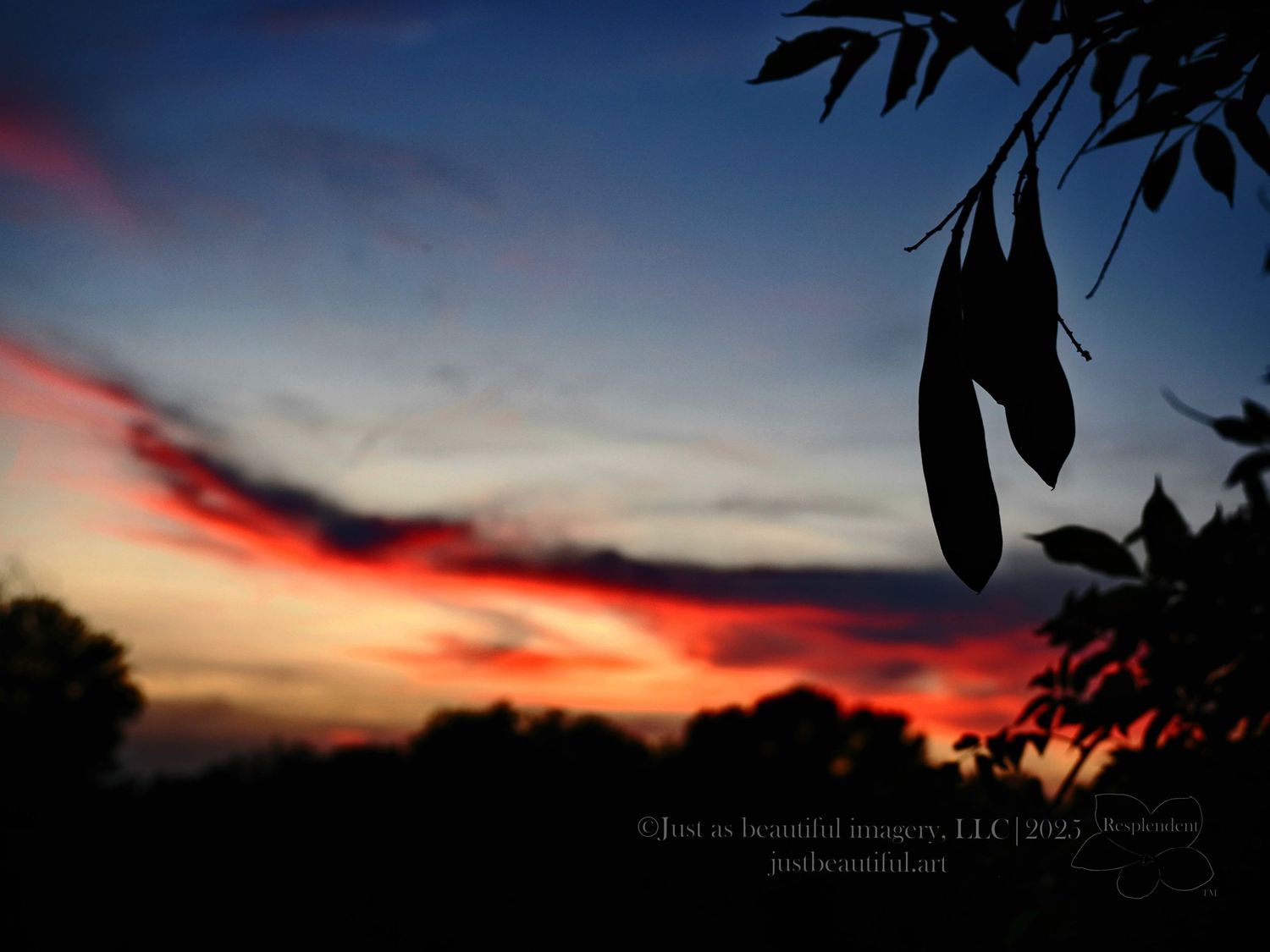 Resplendent photo of a sunset in Saint Charles, Missouri.