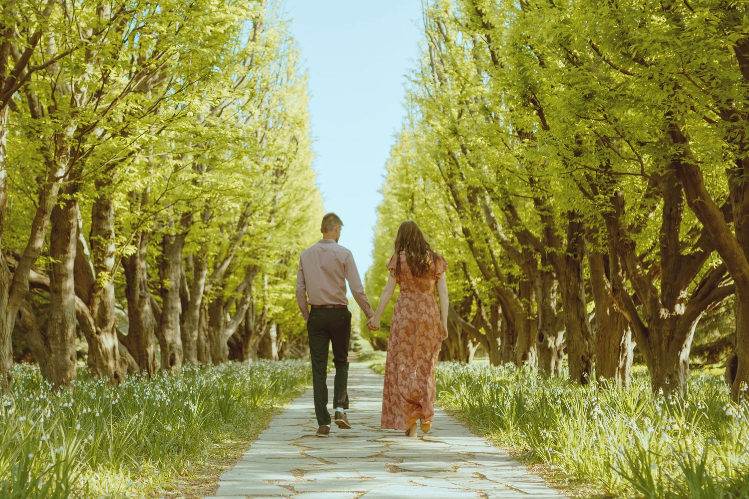 A tree-lined path stretches into the distance during a sunny afternoon.