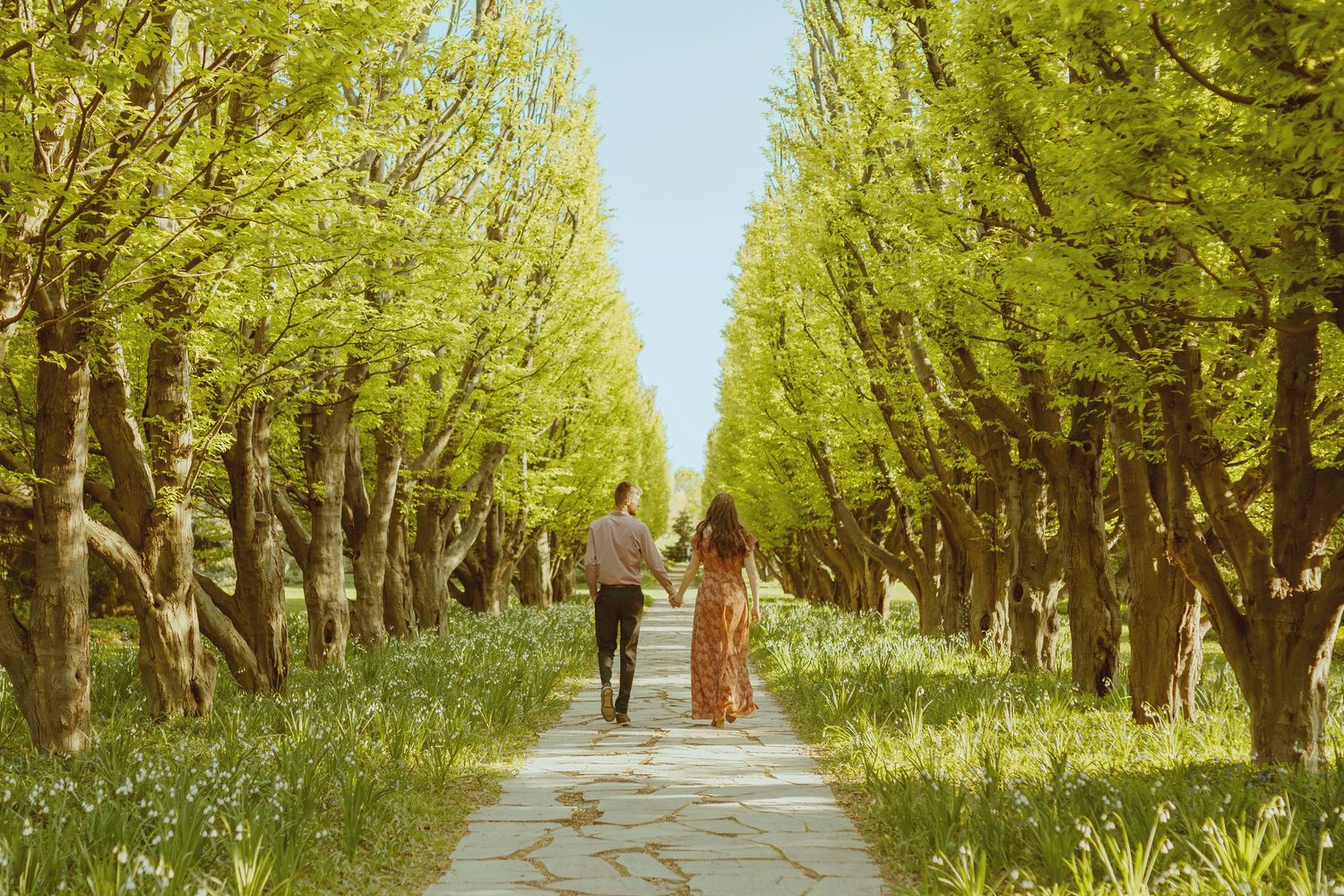 A person walks along a tranquil tree-lined path with sunlight filtering through the green canopy above.